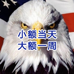 原阳要账公司